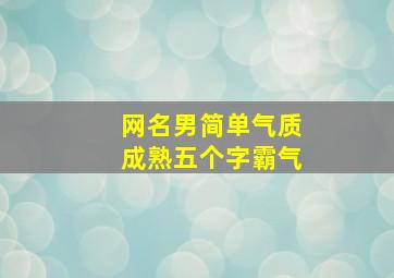 网名男简单气质成熟五个字霸气