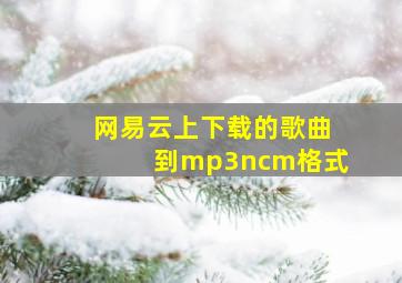 网易云上下载的歌曲到mp3ncm格式