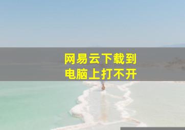 网易云下载到电脑上打不开