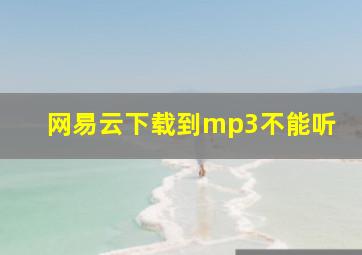 网易云下载到mp3不能听