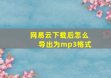 网易云下载后怎么导出为mp3格式