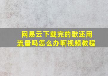 网易云下载完的歌还用流量吗怎么办啊视频教程