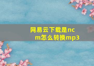 网易云下载是ncm怎么转换mp3