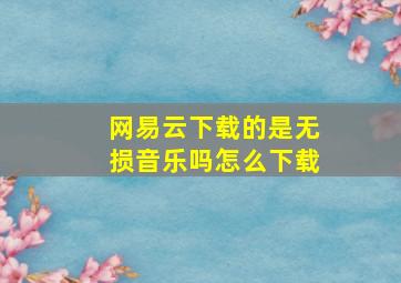 网易云下载的是无损音乐吗怎么下载