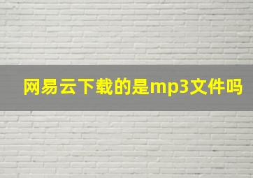 网易云下载的是mp3文件吗