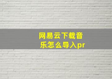 网易云下载音乐怎么导入pr