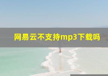 网易云不支持mp3下载吗