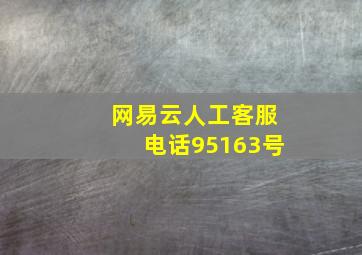 网易云人工客服电话95163号