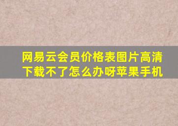 网易云会员价格表图片高清下载不了怎么办呀苹果手机