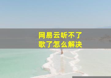 网易云听不了歌了怎么解决