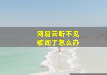 网易云听不见歌词了怎么办