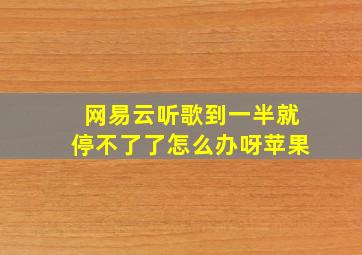 网易云听歌到一半就停不了了怎么办呀苹果