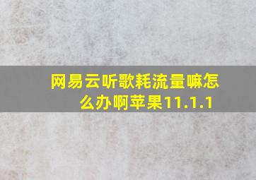 网易云听歌耗流量嘛怎么办啊苹果11.1.1