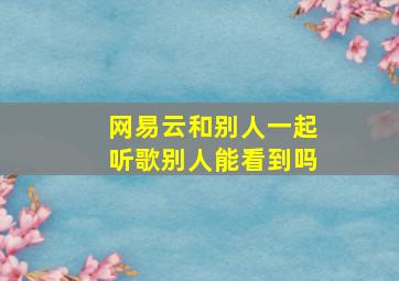 网易云和别人一起听歌别人能看到吗