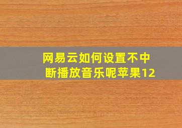 网易云如何设置不中断播放音乐呢苹果12