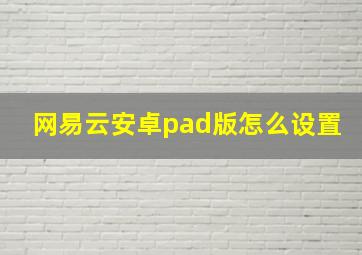 网易云安卓pad版怎么设置