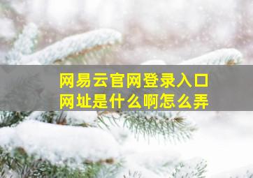 网易云官网登录入口网址是什么啊怎么弄