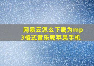 网易云怎么下载为mp3格式音乐呢苹果手机