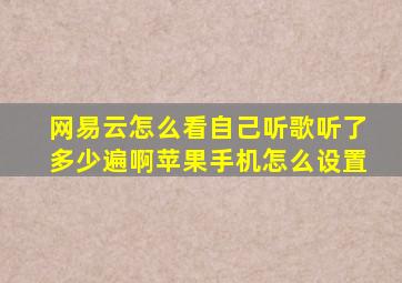 网易云怎么看自己听歌听了多少遍啊苹果手机怎么设置