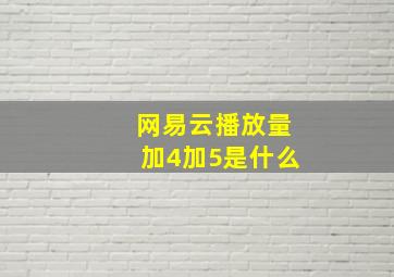 网易云播放量加4加5是什么