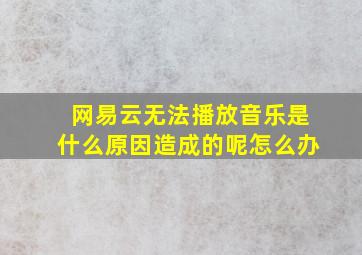 网易云无法播放音乐是什么原因造成的呢怎么办