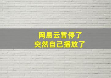 网易云暂停了突然自己播放了