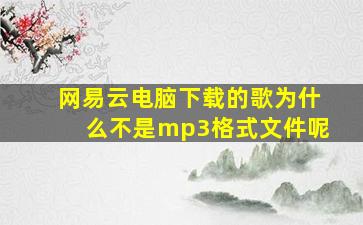 网易云电脑下载的歌为什么不是mp3格式文件呢