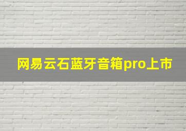 网易云石蓝牙音箱pro上市