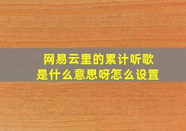 网易云里的累计听歌是什么意思呀怎么设置