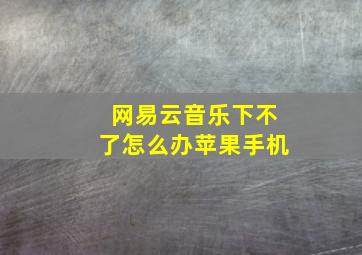 网易云音乐下不了怎么办苹果手机