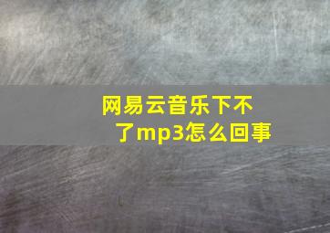 网易云音乐下不了mp3怎么回事