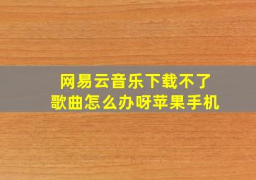 网易云音乐下载不了歌曲怎么办呀苹果手机