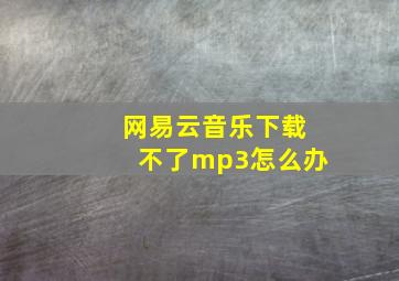 网易云音乐下载不了mp3怎么办