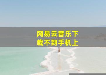 网易云音乐下载不到手机上