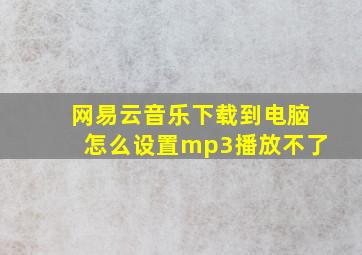 网易云音乐下载到电脑怎么设置mp3播放不了