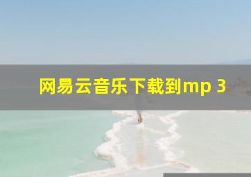 网易云音乐下载到mp 3