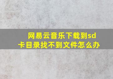 网易云音乐下载到sd卡目录找不到文件怎么办