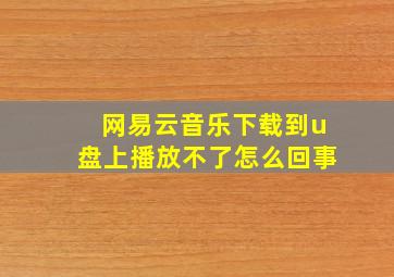 网易云音乐下载到u盘上播放不了怎么回事