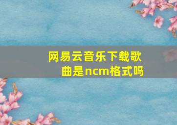 网易云音乐下载歌曲是ncm格式吗