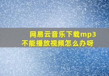 网易云音乐下载mp3不能播放视频怎么办呀