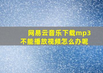 网易云音乐下载mp3不能播放视频怎么办呢