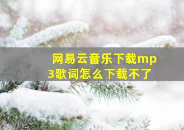 网易云音乐下载mp3歌词怎么下载不了