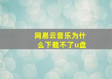 网易云音乐为什么下载不了u盘