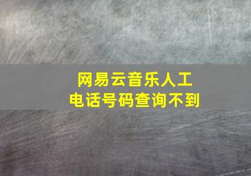 网易云音乐人工电话号码查询不到