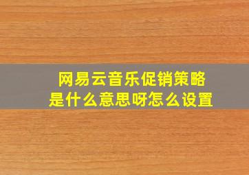 网易云音乐促销策略是什么意思呀怎么设置