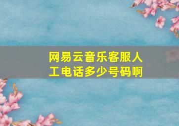 网易云音乐客服人工电话多少号码啊