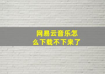 网易云音乐怎么下载不下来了