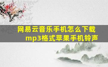 网易云音乐手机怎么下载mp3格式苹果手机铃声