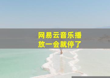 网易云音乐播放一会就停了