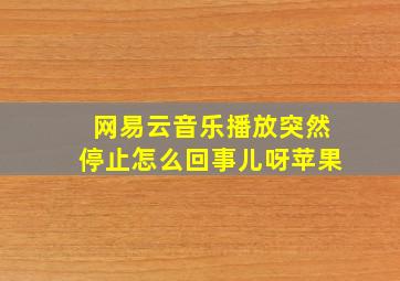 网易云音乐播放突然停止怎么回事儿呀苹果